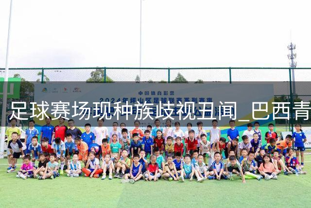足球赛场现种族歧视丑闻 巴西青年联赛裁判愤而报警